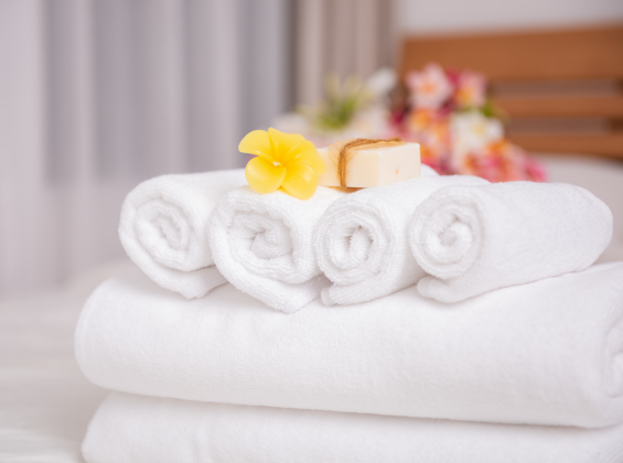 Palm Breeze Posts (1)