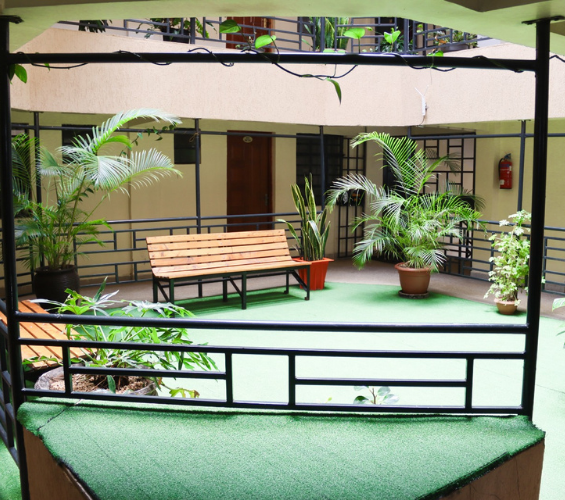 Palm Breeze Posts (17)