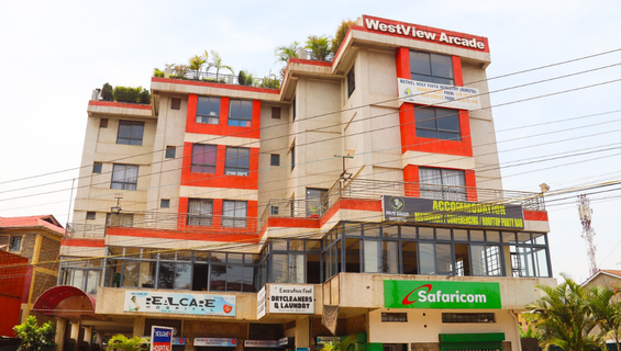 Palm Breeze Posts (21)